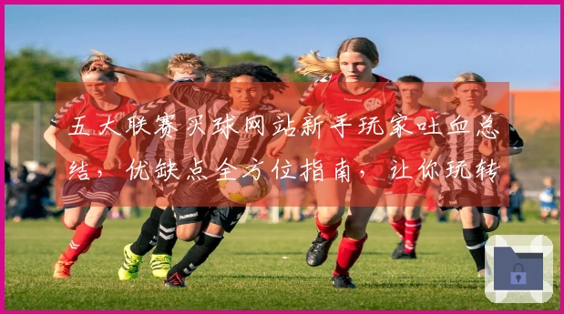 五大联赛买球网站新手玩家吐血总结，优缺点全方位指南，让你玩转赛场！