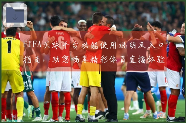 FIFA买球平台功能使用说明及入口指南，助您畅享精彩体育直播体验