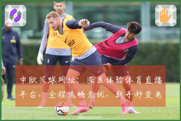 中欧买球网址：深度体验体育直播平台，全程流畅无忧，新手秒变老玩家