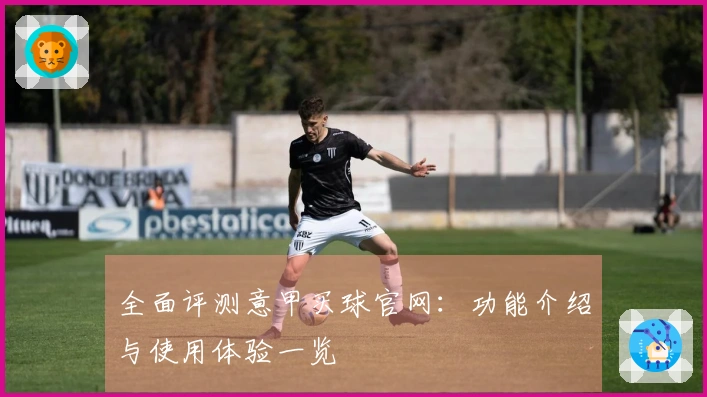 全面评测意甲买球官网：功能介绍与使用体验一览