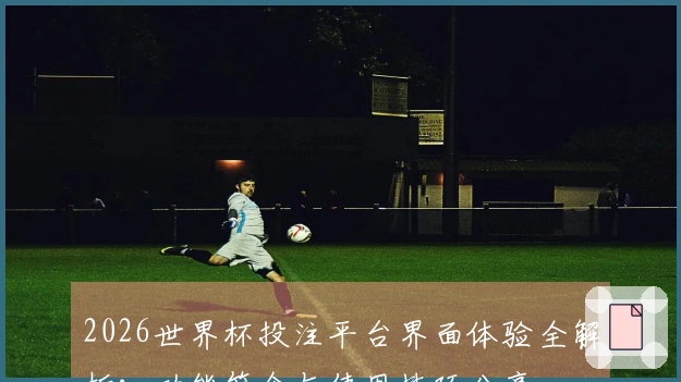 2026世界杯投注平台界面体验全解析：功能简介与使用技巧分享