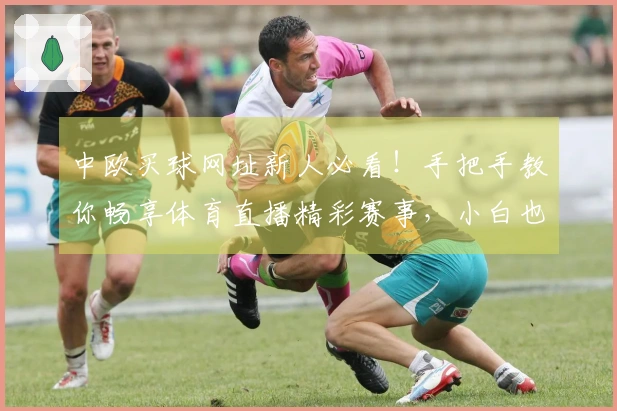 中欧买球网址新人必看！手把手教你畅享体育直播精彩赛事，小白也能轻松上手