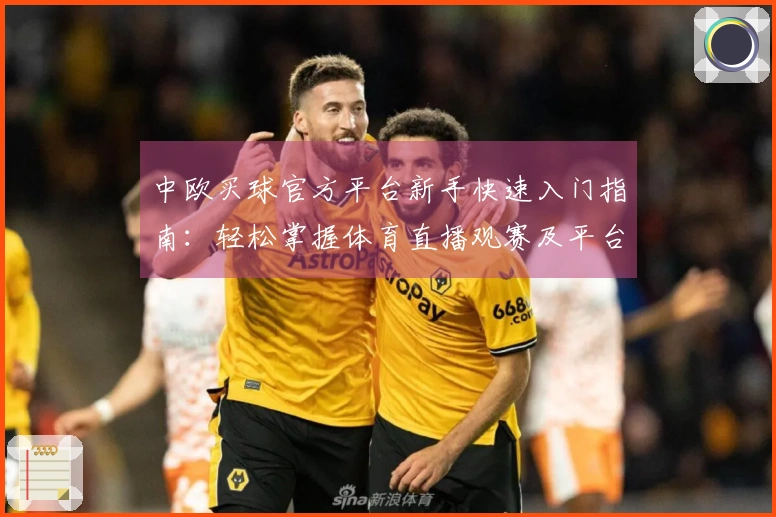 中欧买球官方平台新手快速入门指南：轻松掌握体育直播观赛及平台功能
