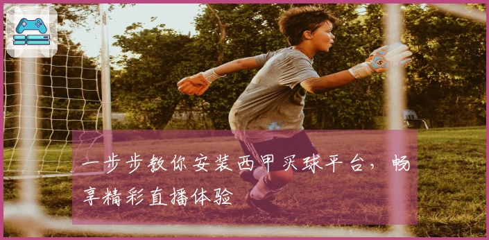 一步步教你安装西甲买球平台，畅享精彩直播体验